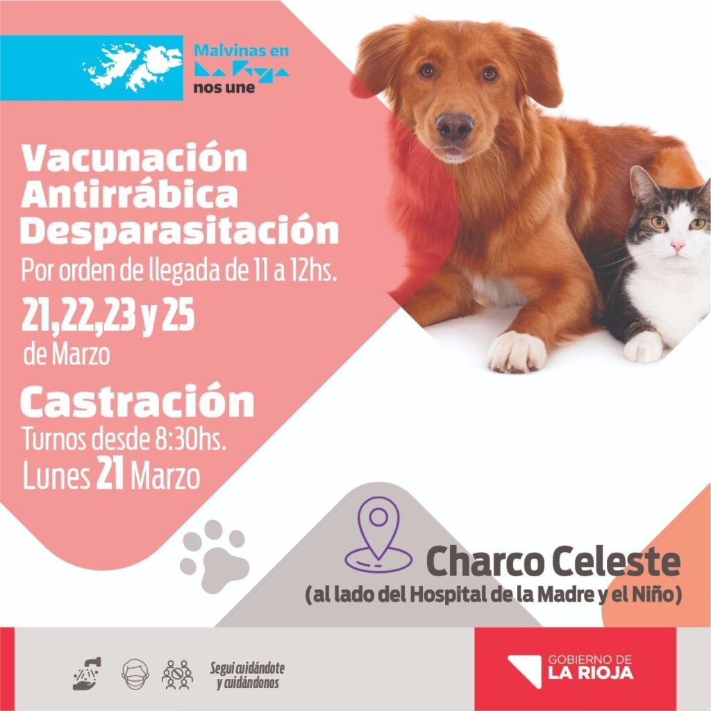 276318779 277217454582081 1122618089415869158 n