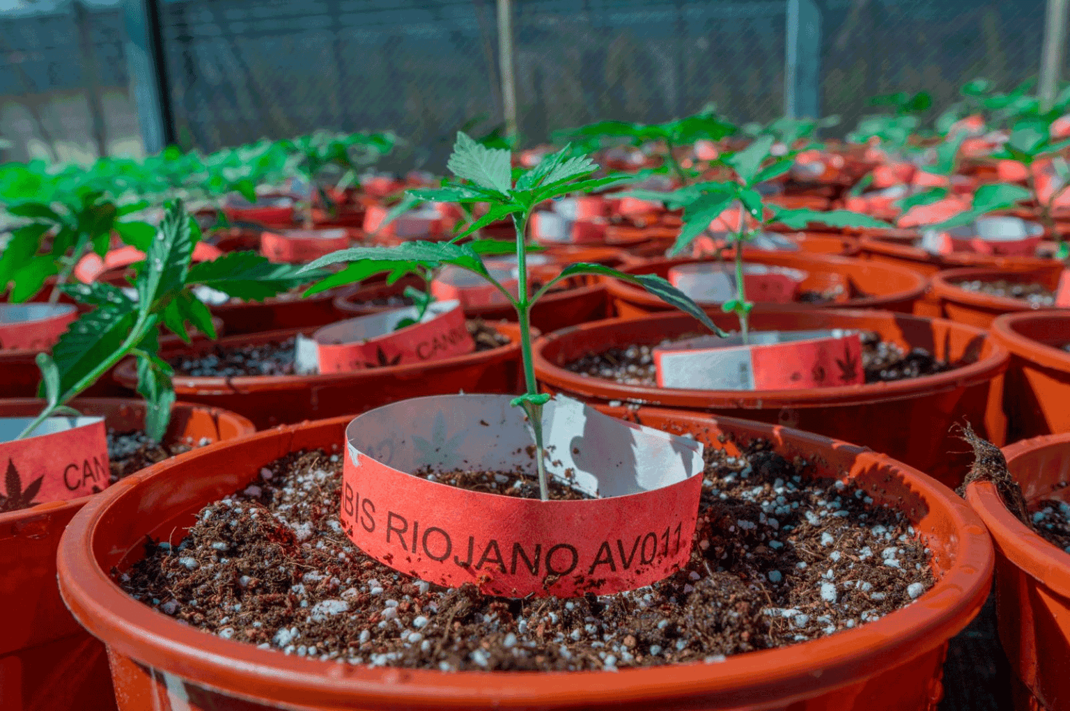 imagen 2022 03 27 185328