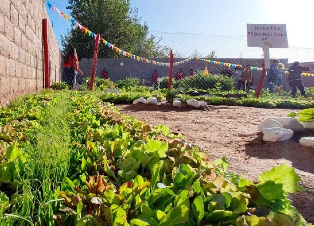 Huertas Familiares: El programa que impulsa el acceso a alimentos saludables 279485170 5072879536139286 6685069412171335657 n e1651158944401