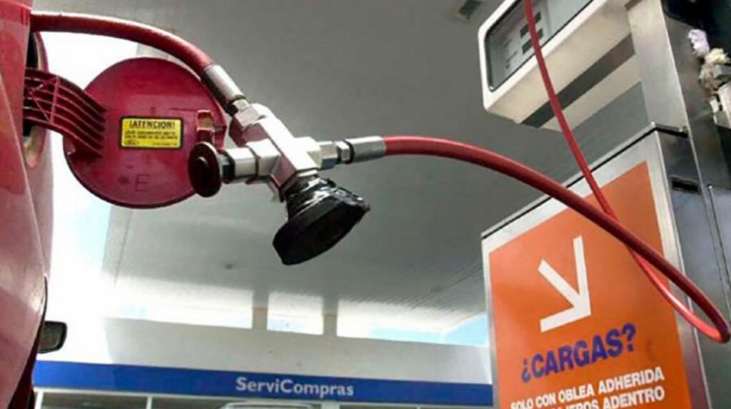 597681f204deee41b6d007cd571d9ce59fa7694a e1656025469319