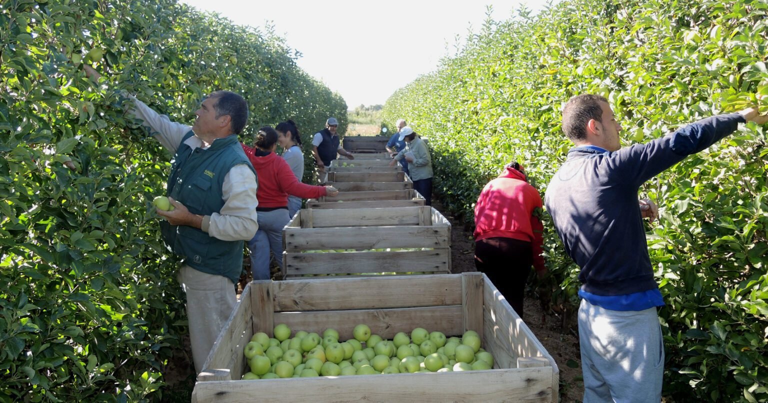 2031977 e1658268094748