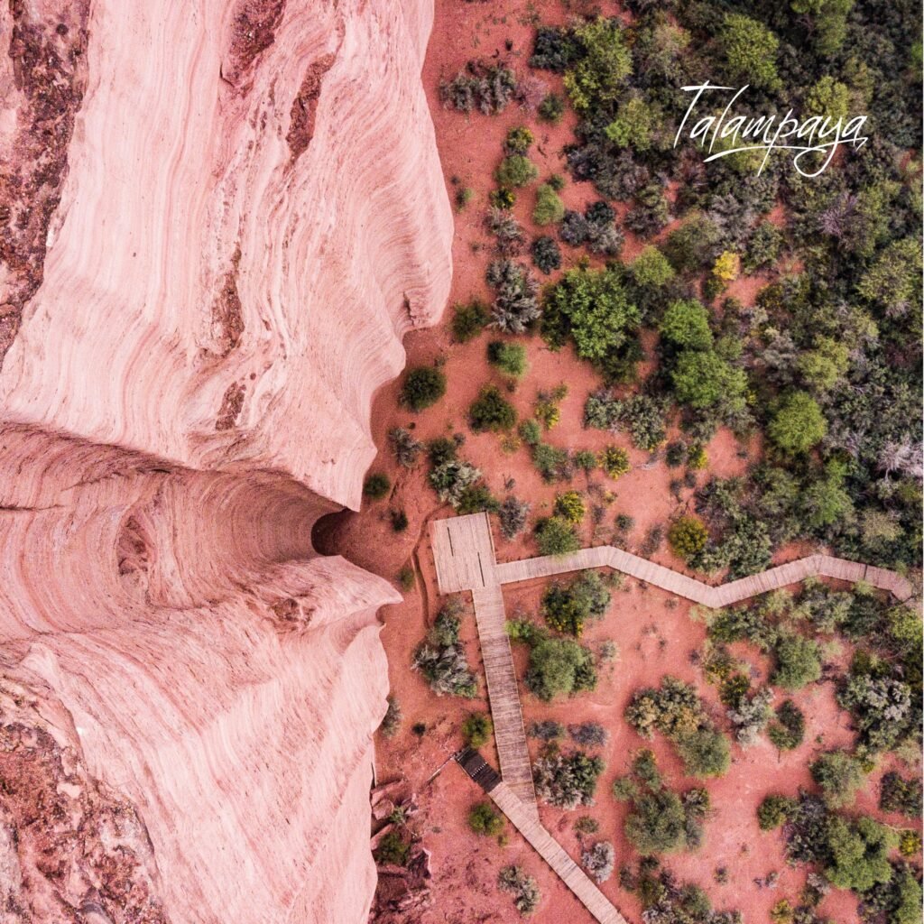 287365787 3176376085951991 6783232919932431376 n