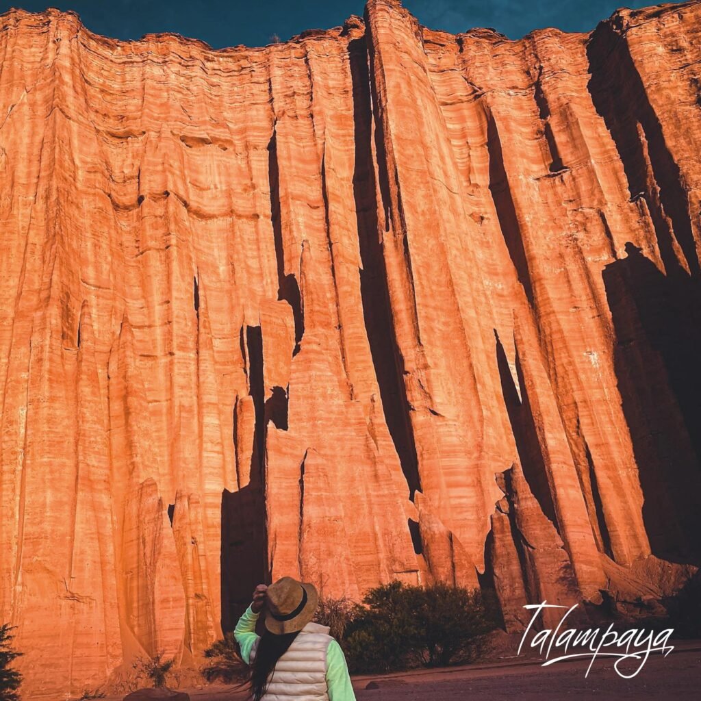 294023181 3205724363017163 2298677481274709835 n