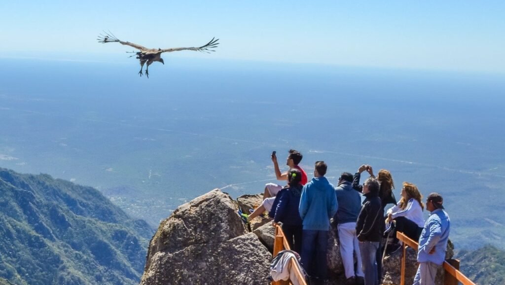 294636415 5454721567924219 8904183683669347250 n e1658192187896