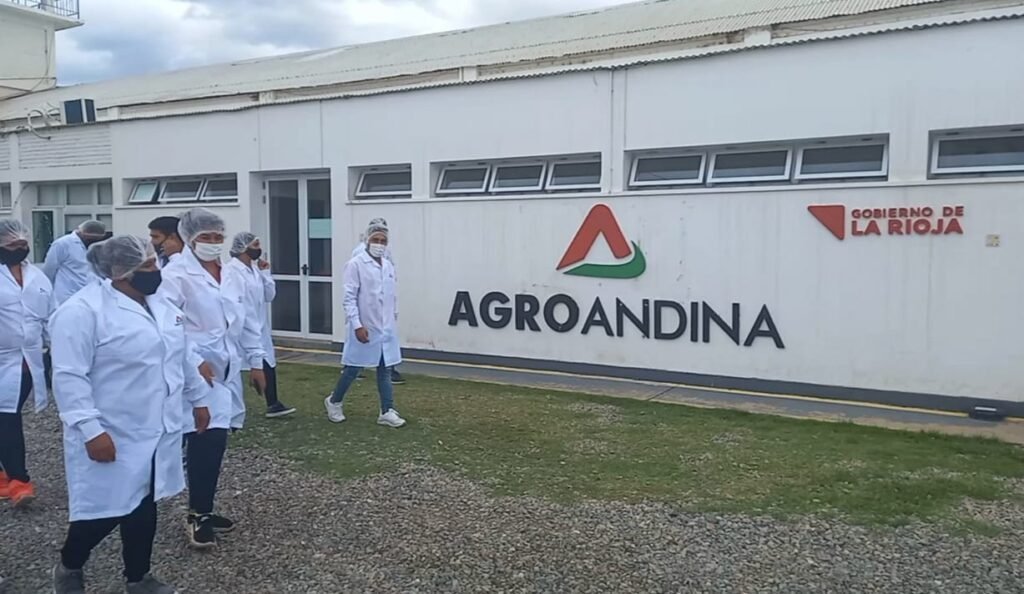 WhatsApp Image 2021 12 14 at 17.48.59 1