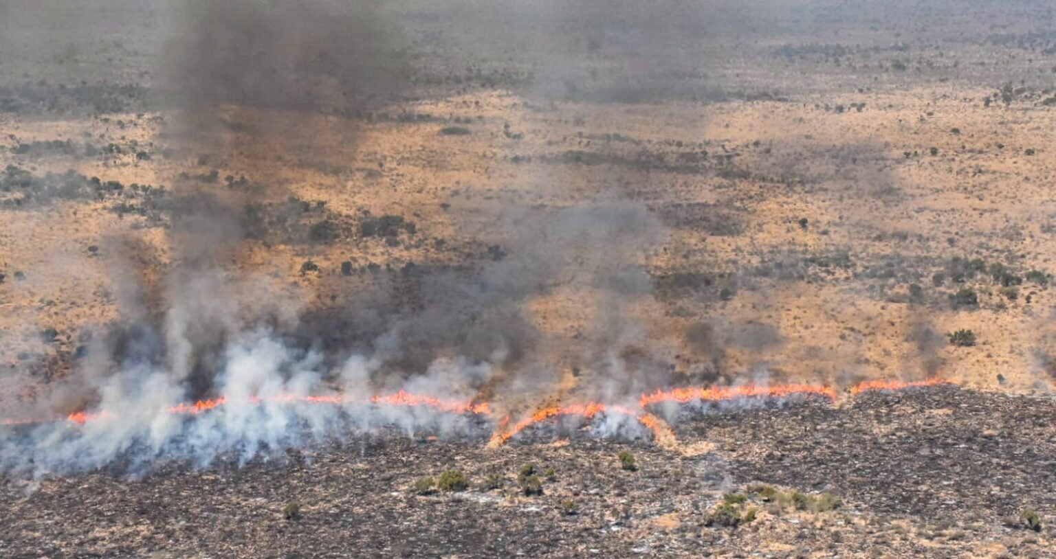 306133575 460044676167737 2836324613020187542 n e1663715539486