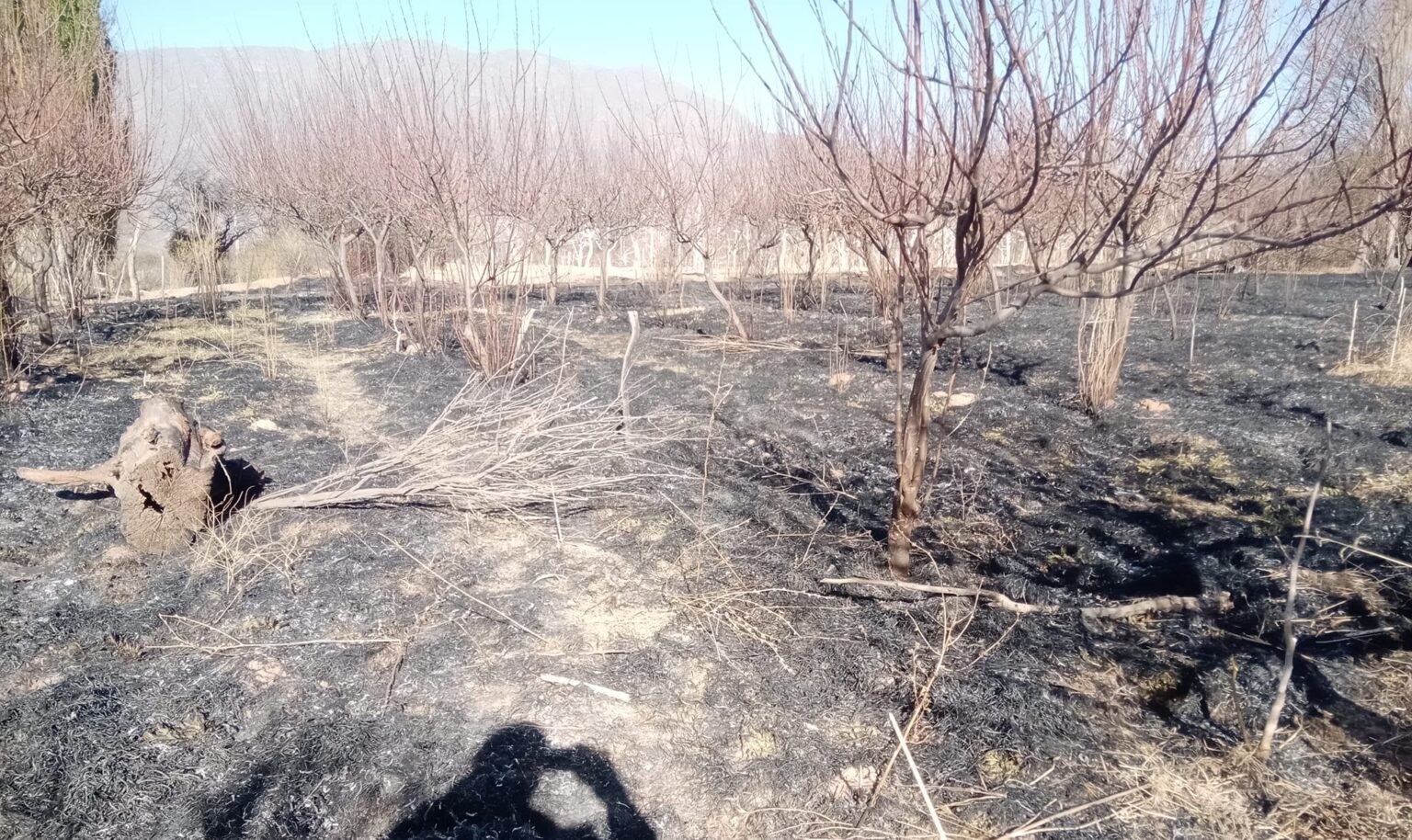 306847099 5382167161873214 6524937835319979186 n e1663380883310