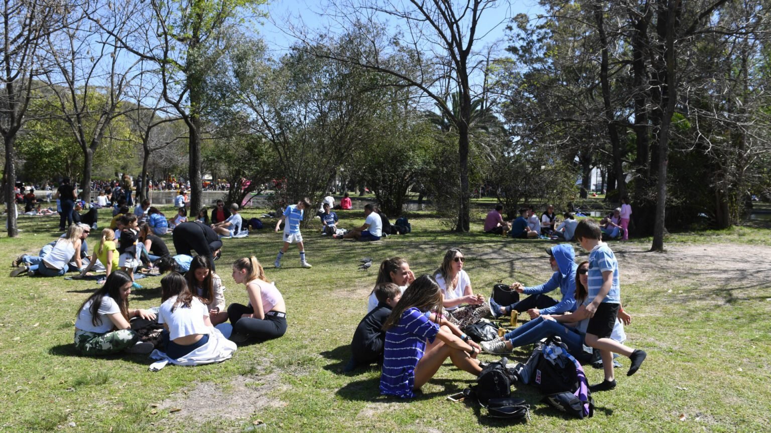 Dia de la primavera 2 copia