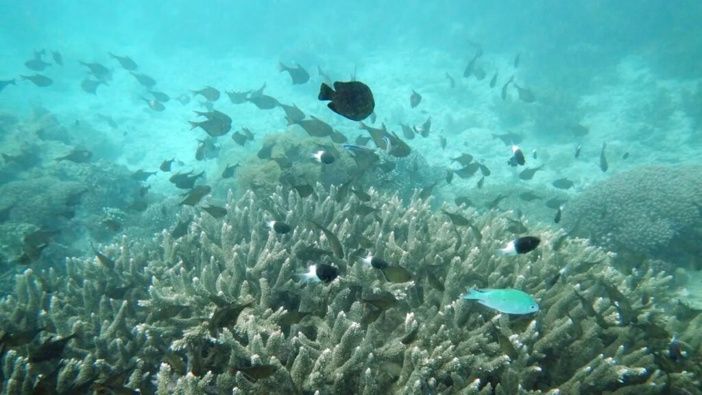 VI4GABKUJRDDHOMNGAEA3LKH7M e1663019816524