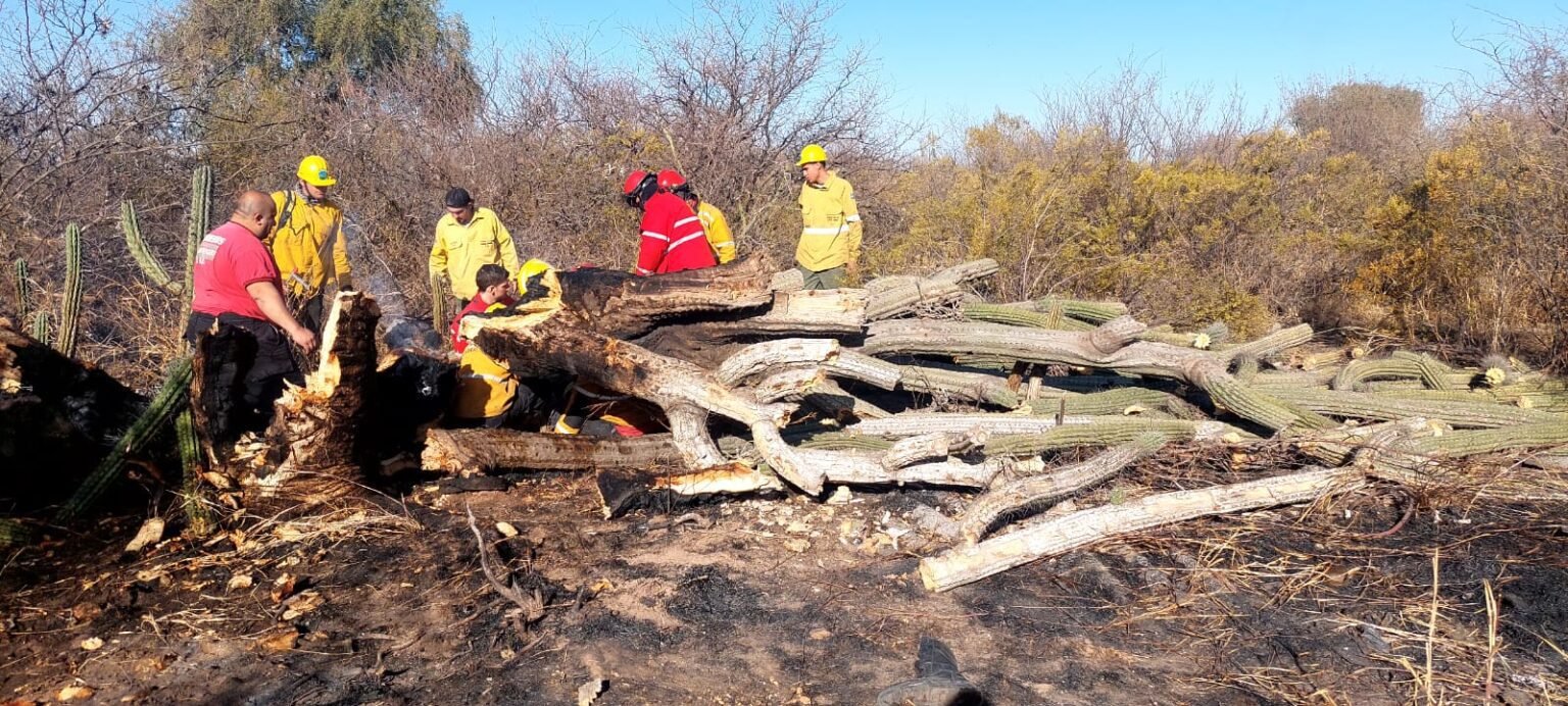 WhatsApp Image 2022 09 09 at 18.58.53