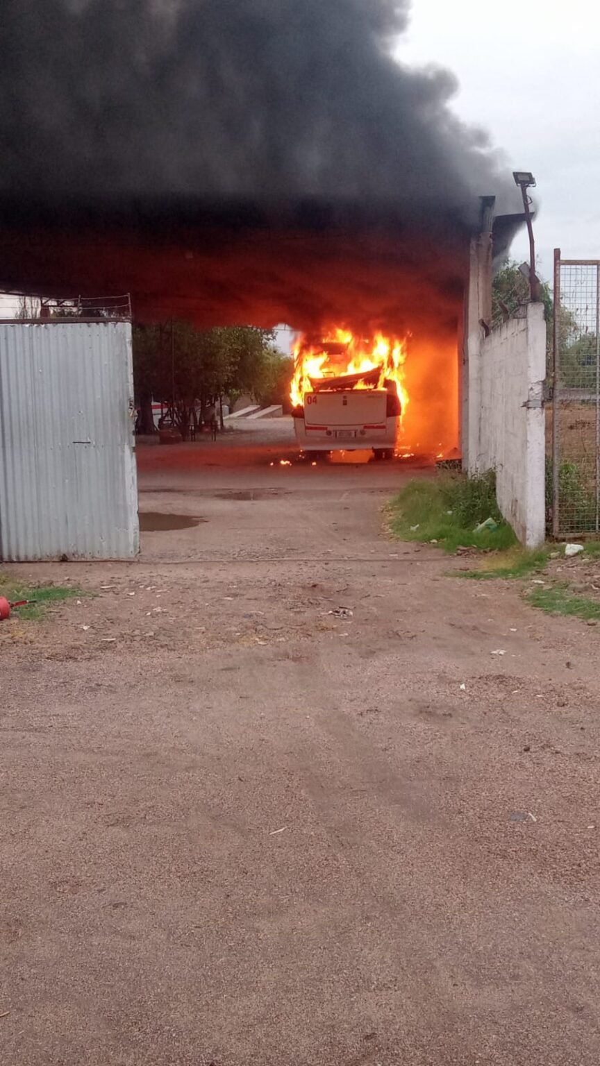 WhatsApp Image 2022 09 28 at 12.42.38