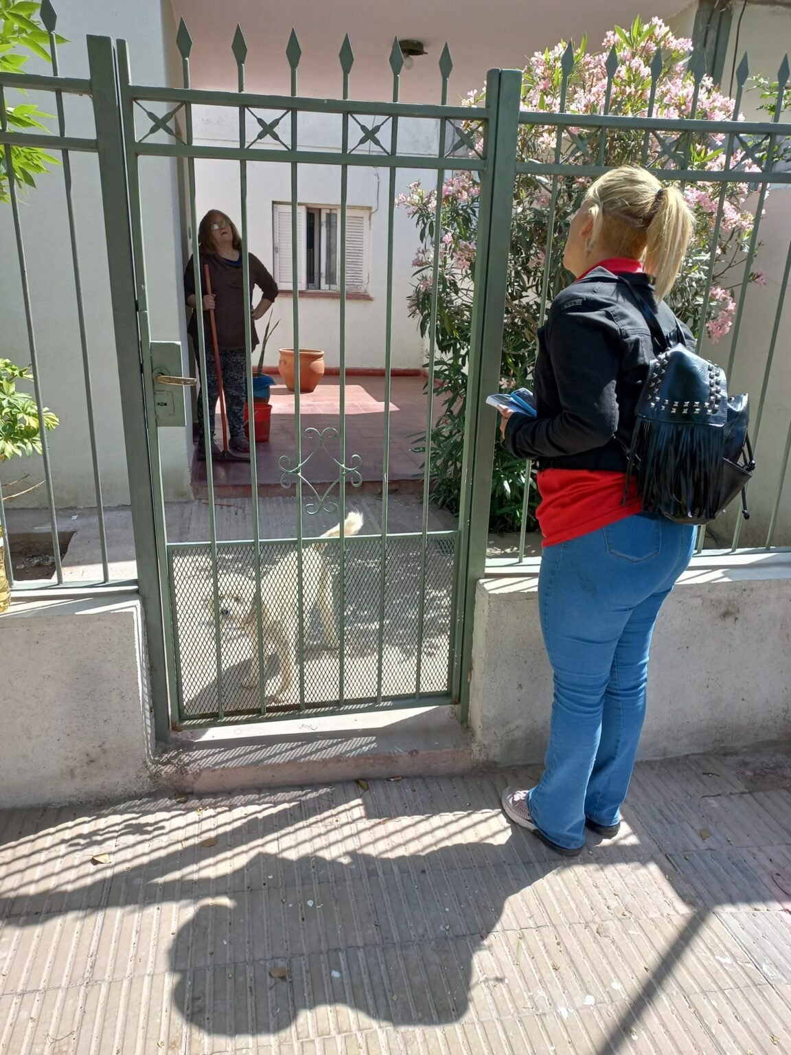 311629173 677371500479829 2334938301323915952 n