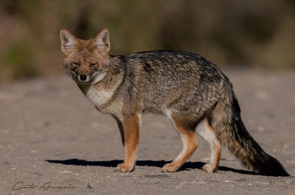 MVSDAZTDMY2TSZBRMRTDKNRRGQ