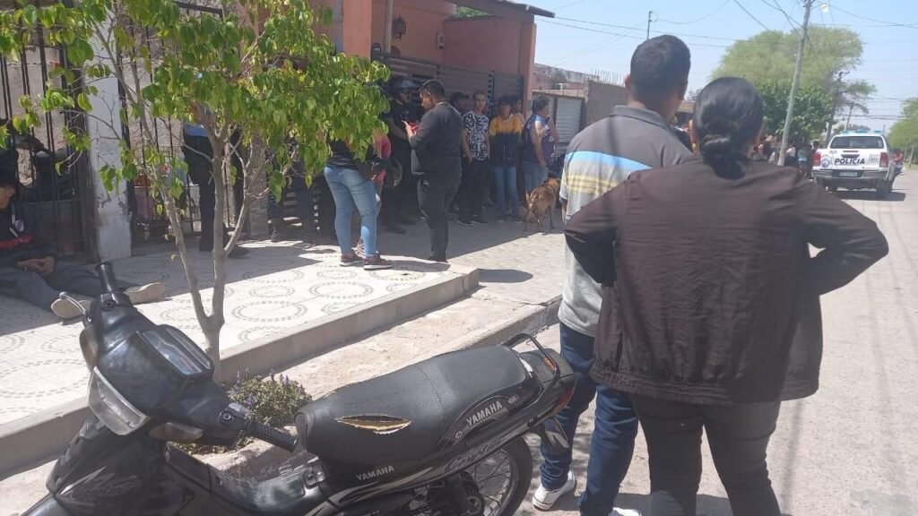 WhatsApp Image 2022 10 13 at 16.01.12