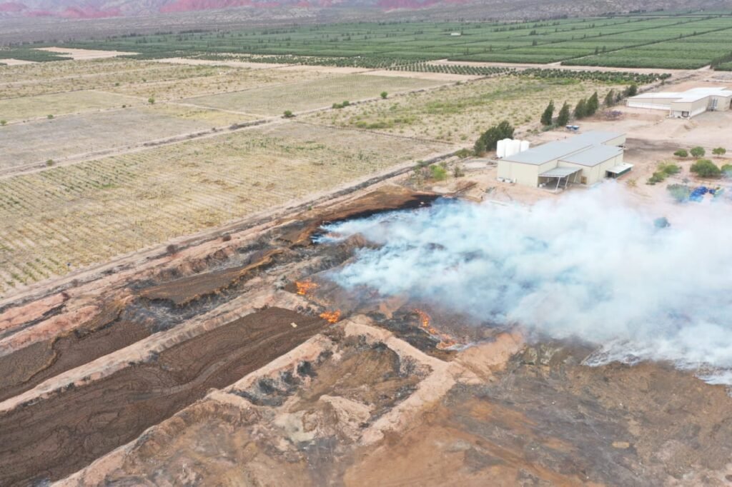 WhatsApp Image 2022 10 31 at 21.26.59