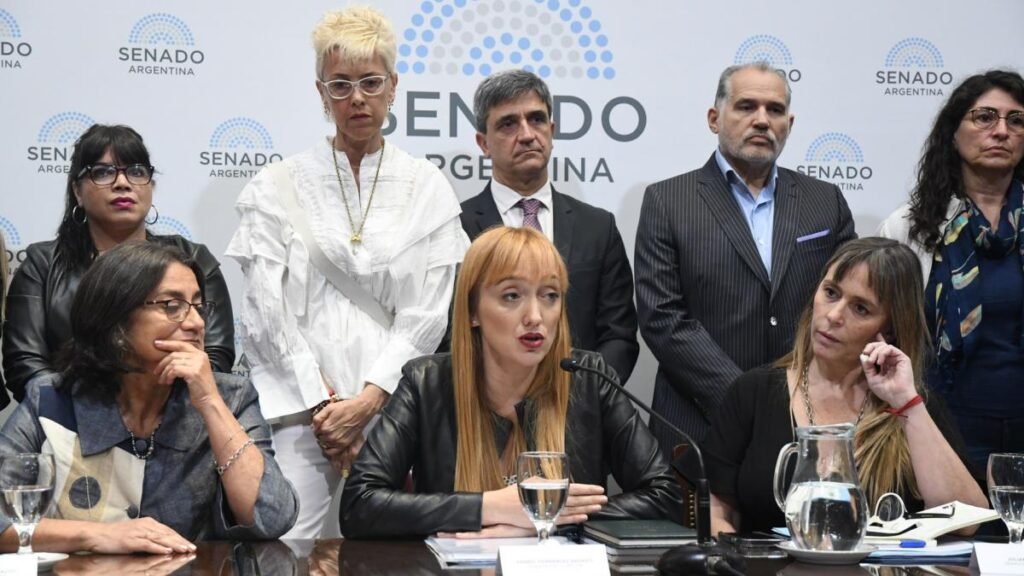 Senadores del Frente de Todos rechazan la decisión de no apartar a la jueza Capuchetti 636bc8d179b68 1200