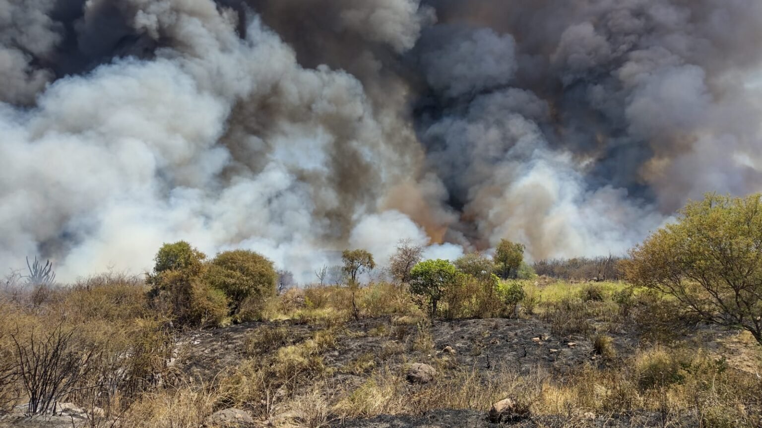 WhatsApp Image 2022 11 28 at 16.50.42