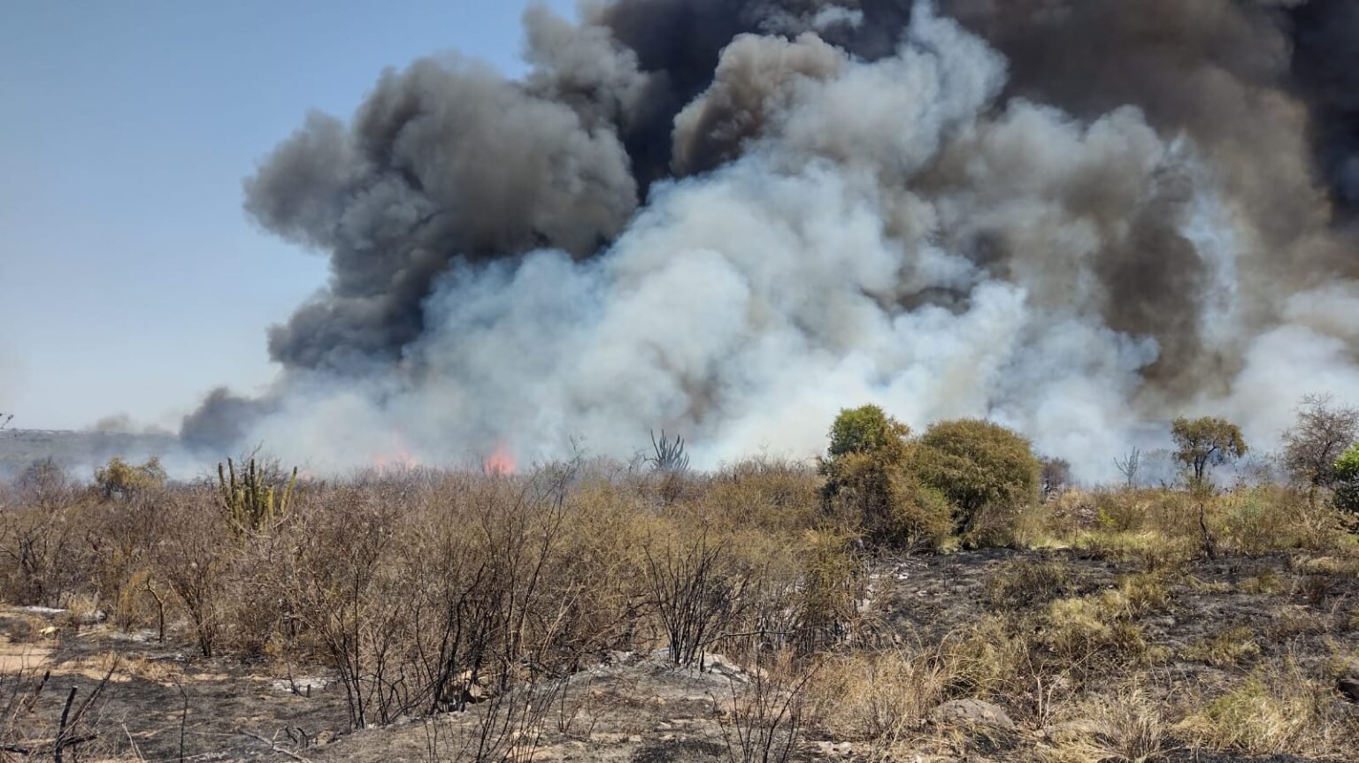 Incendio en Juan Caro: Las viviendas están fuera de peligro, pero recomiendan a las familias no volver WhatsApp Image 2022 11 28 at 16.50.43