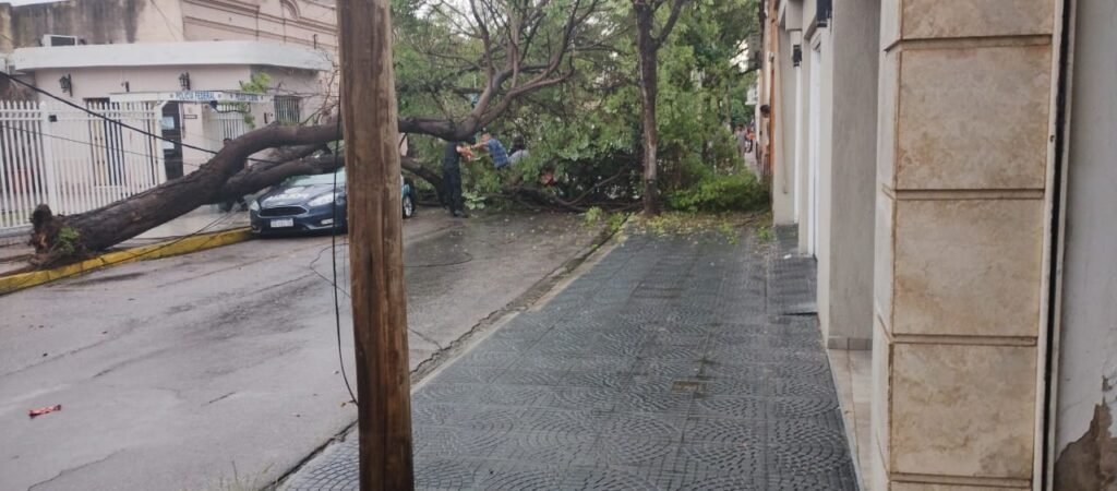 f25aad38 1a66 4b6c 910f b3586a149051