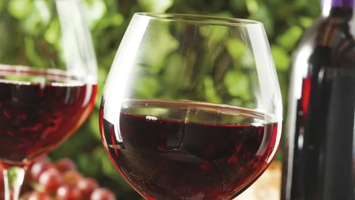 Día Nacional del Vino: ¿Por qué se la considera la bebida nacional de Argentina? vino 1