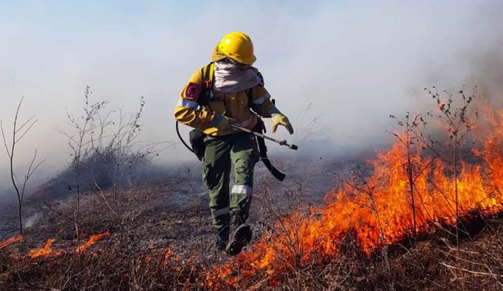 Rige alerta por incendios forestales en la provincia 0000346575