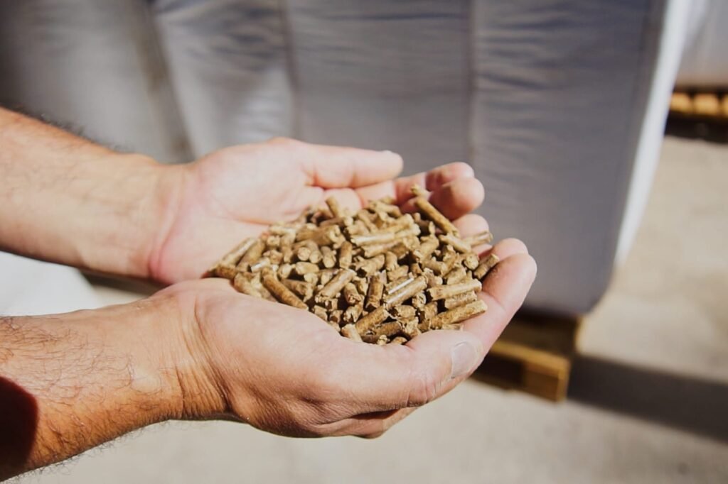 WhatsApp Image 2023 02 03 at 16.48.54 1