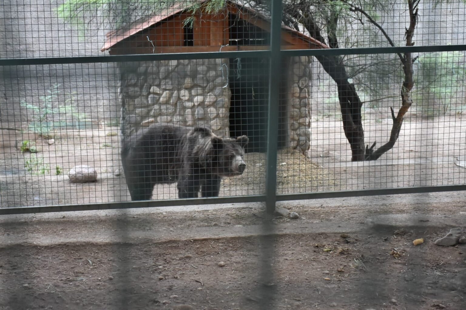 WhatsApp Image 2023 02 09 at 14.00.10