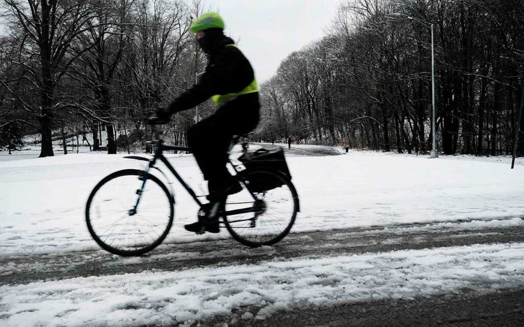 nevada en nueva york
