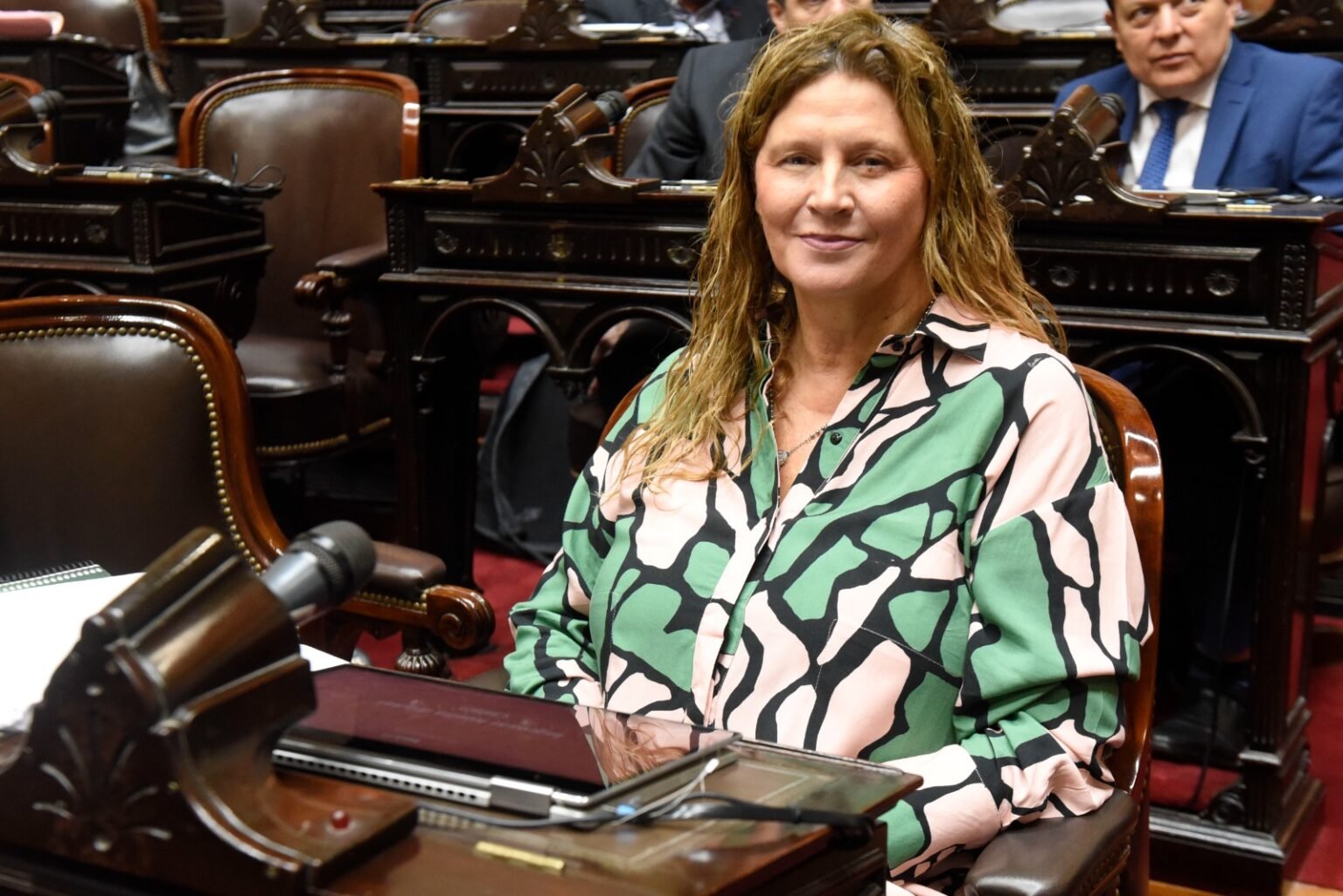 La Diputada Gabriela Pedrali valoró la media sanción al proyecto de ley que crea el «MonoTech» WhatsApp Image 2023 03 31 at 12.08.13