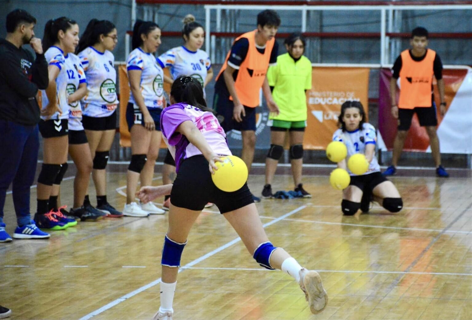 341536185 520284936982628 4688298043637917107 n