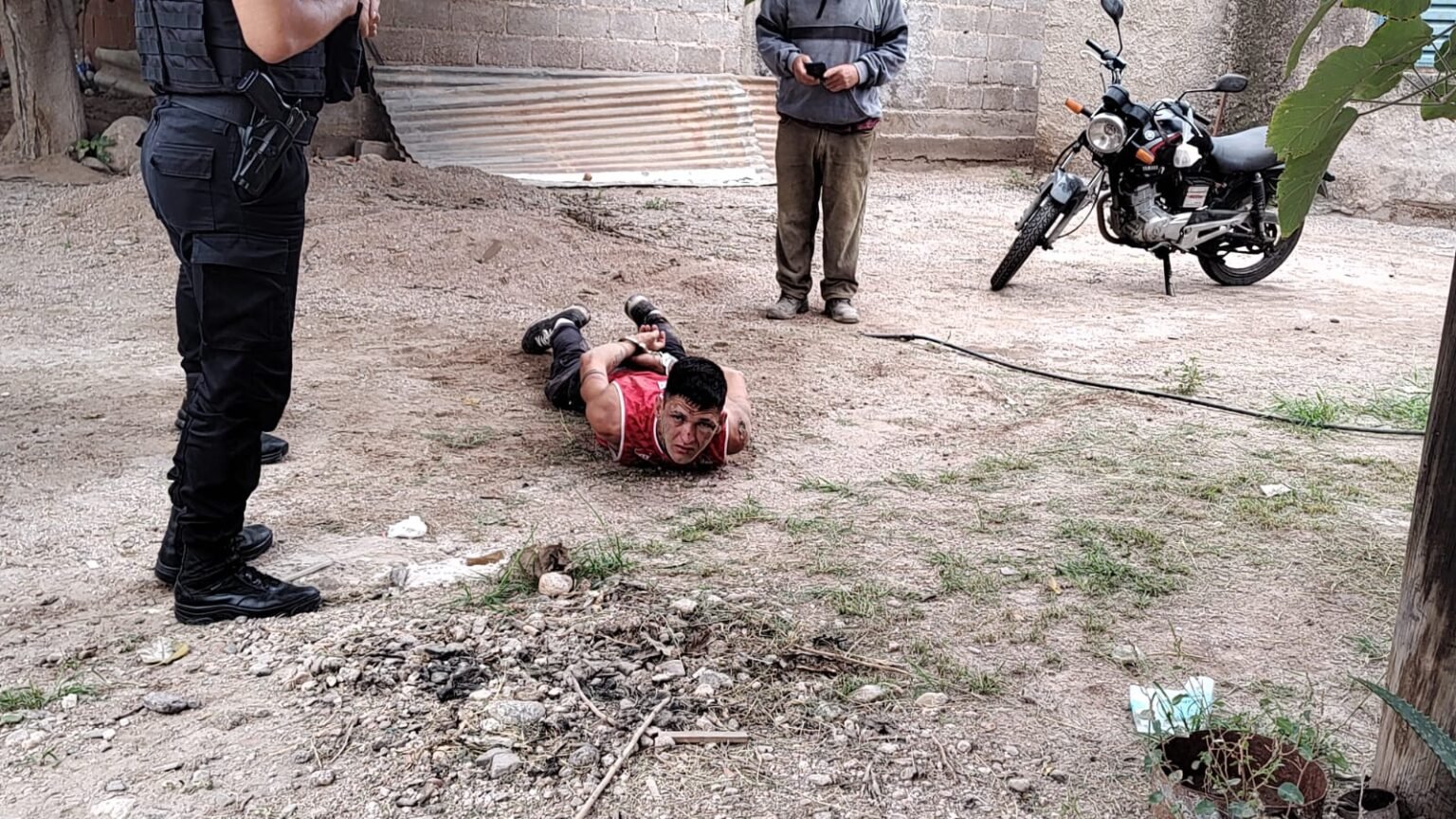 WhatsApp Image 2023 04 05 at 11.19.46