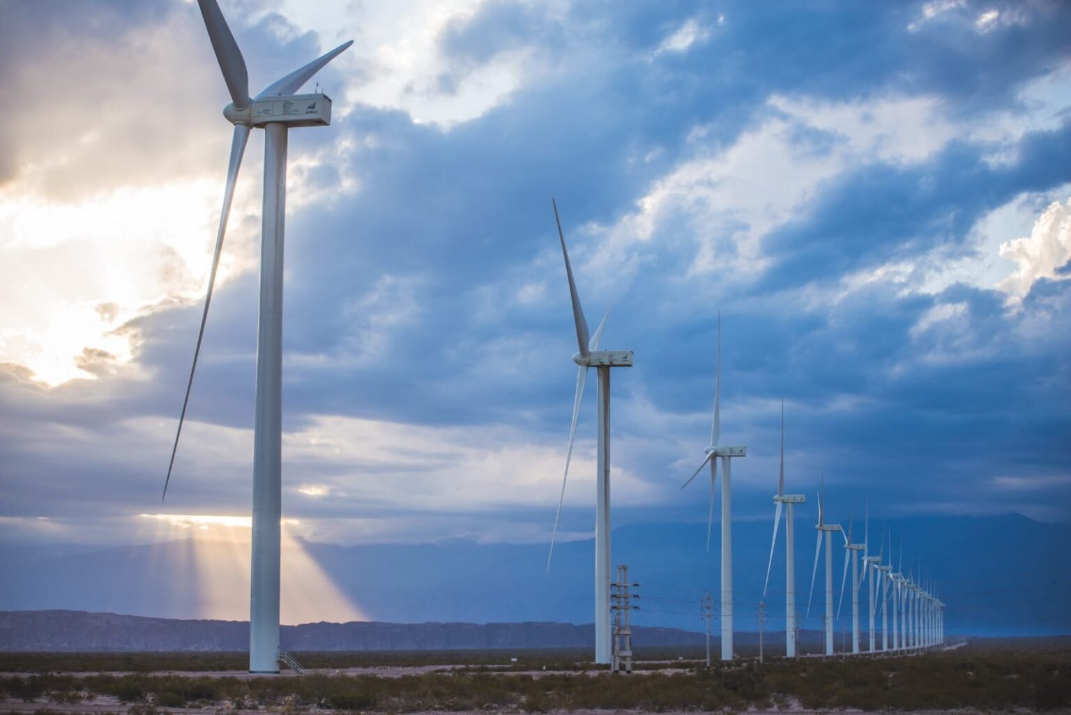 WhatsApp Image 2023 04 10 at 17.58.45