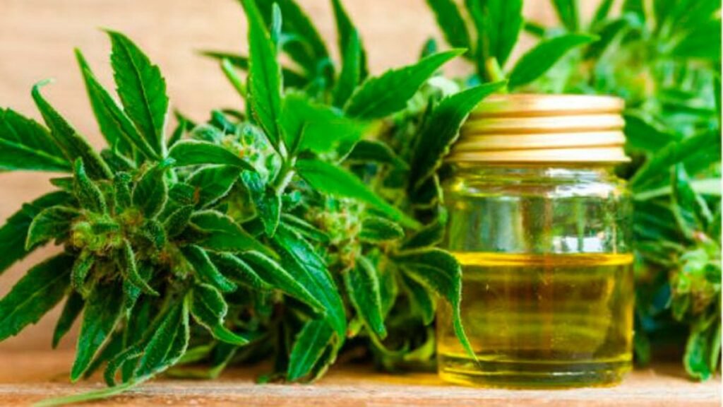 WhatsApp Image 2023 04 20 at 20.02.58