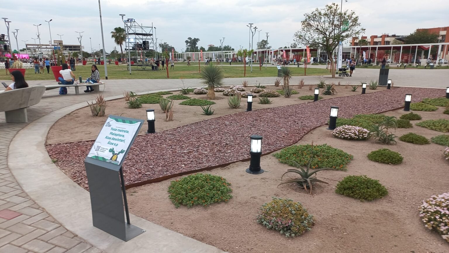 313863264 539592401507652 9146047542422302375 n