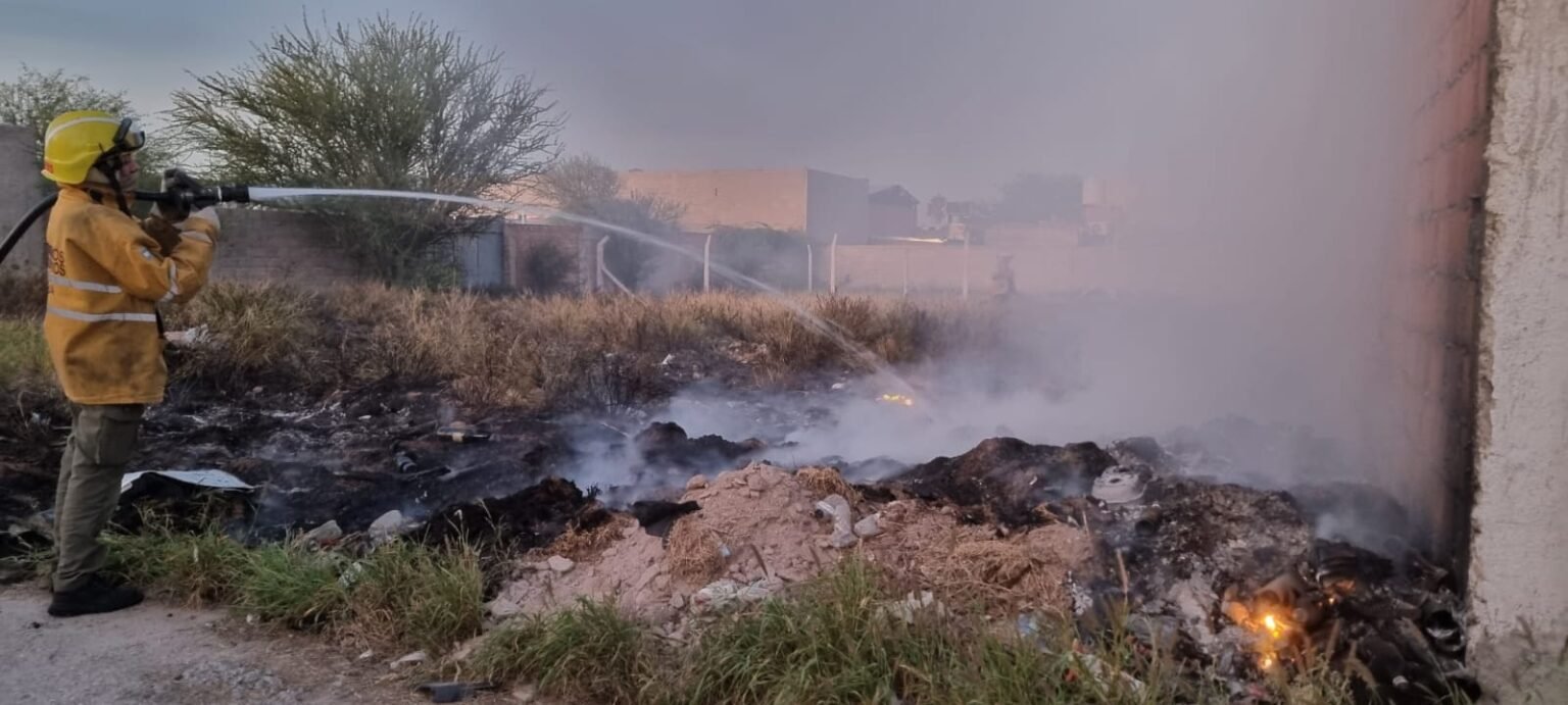 WhatsApp Image 2023 05 09 at 21.01.13