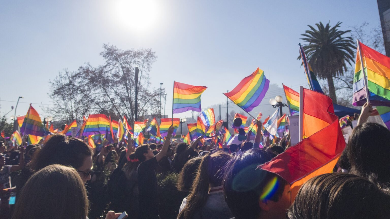 Difunden los primeros resultados del censo sobre las condiciones de vida LGBTIQ+ Orgullo LGBT