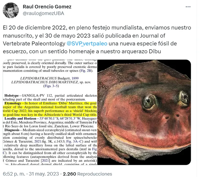 Homenaje: Un hallazgo prehistórico llevará el nombre del "Dibu" Martínez 1 imagepng 1