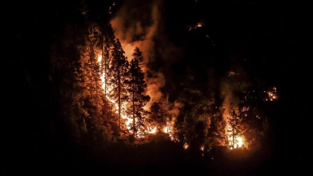 El calor agobiante azota el hemisferio norte con temperaturas extremas e incendios fuego calor