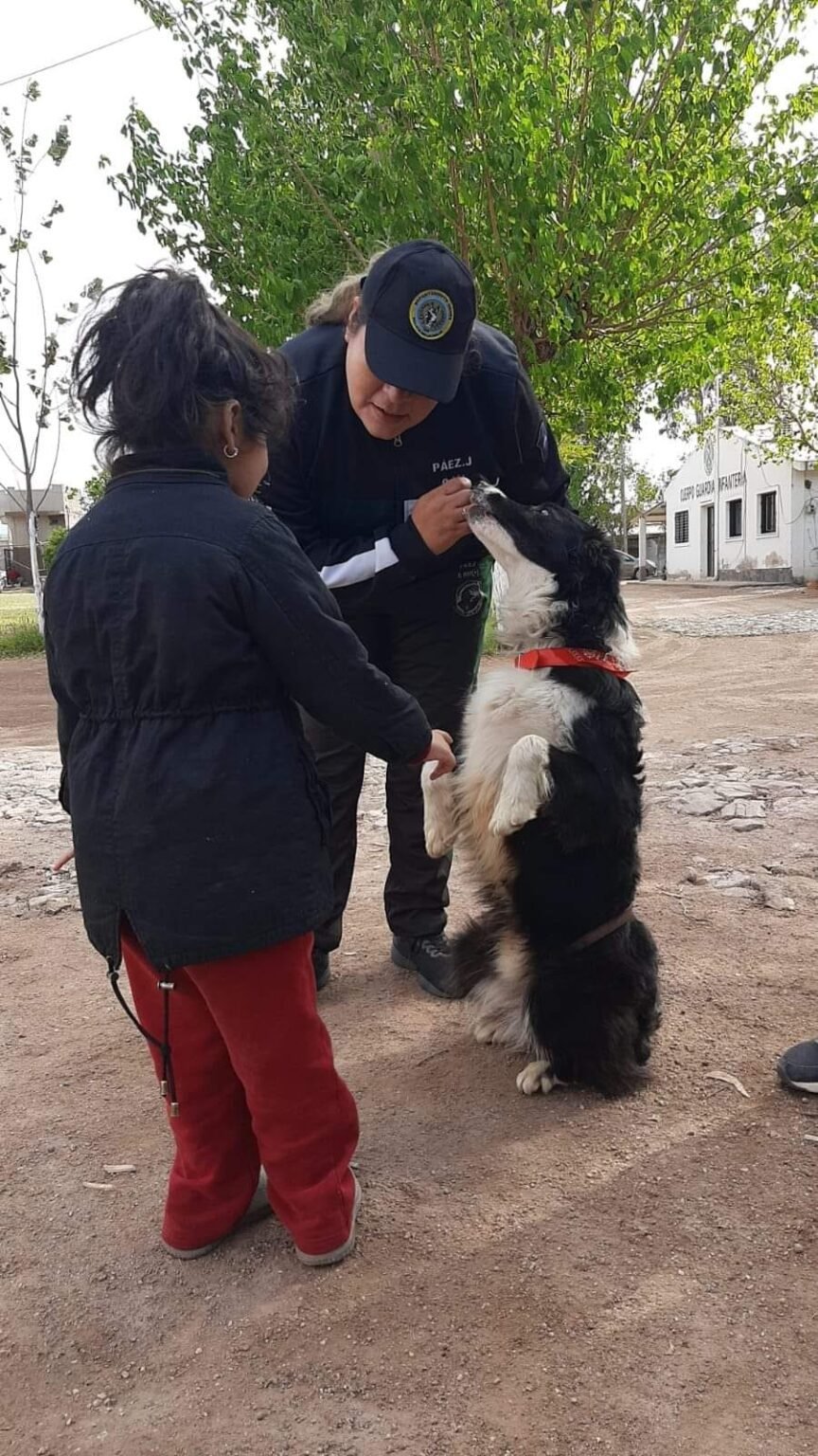 El trabajo más noble: canes de la Policía riojana como «auxiliares terapeutas» de niños con autismo CANES