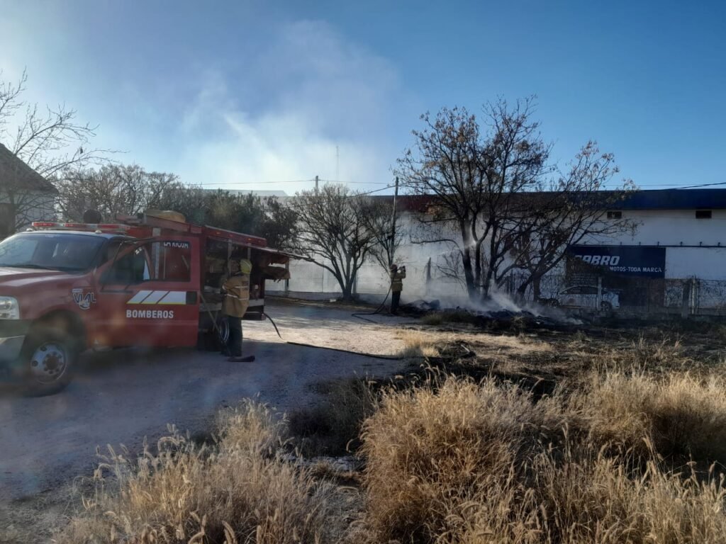 WhatsApp Image 2023 08 02 at 6.19.52 PM