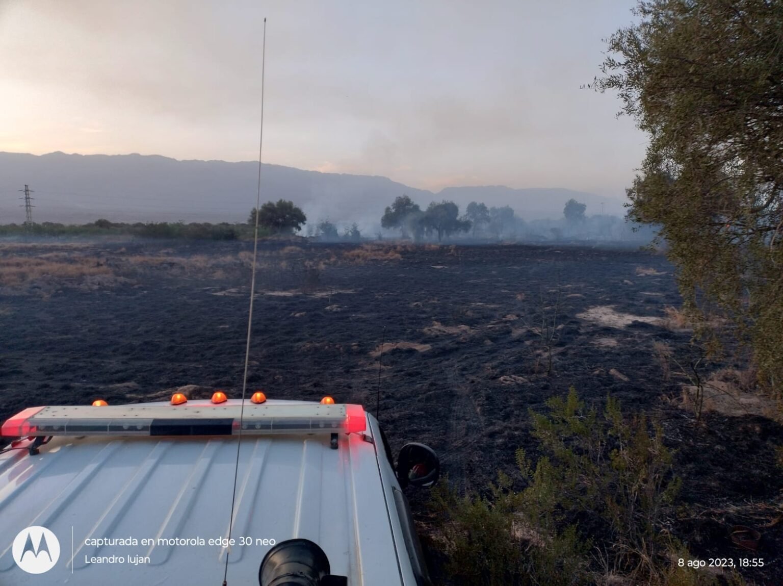 WhatsApp Image 2023 08 08 at 7.01.07 PM