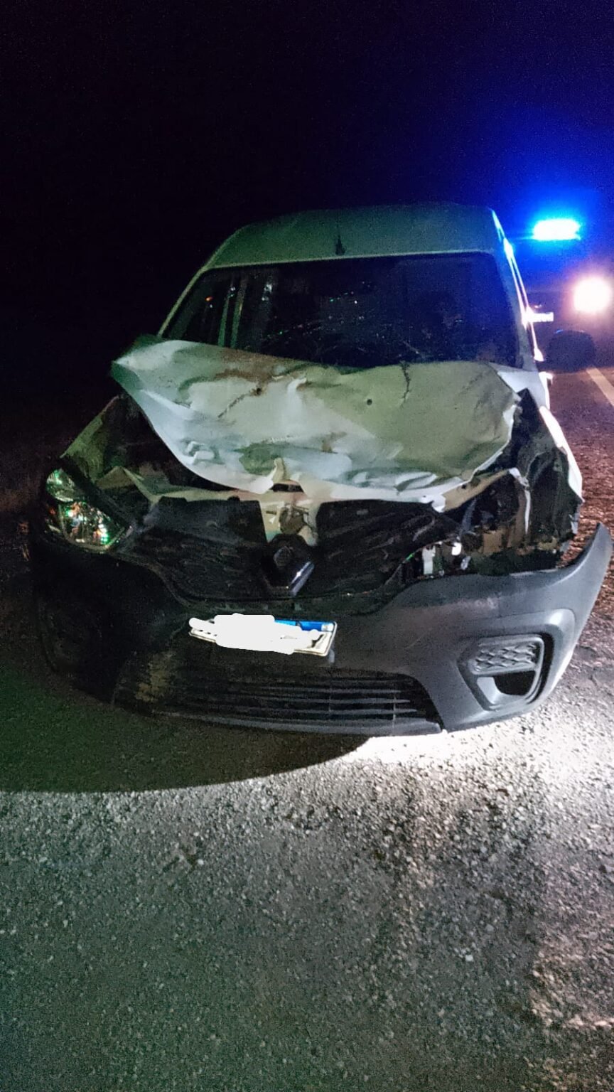 Tremendo vuelco ocurrió en Ruta 40 provocado por un animal suelto: el conductor salió ileso WhatsApp Image 2023 08 11 at 9.20.02 AM 1