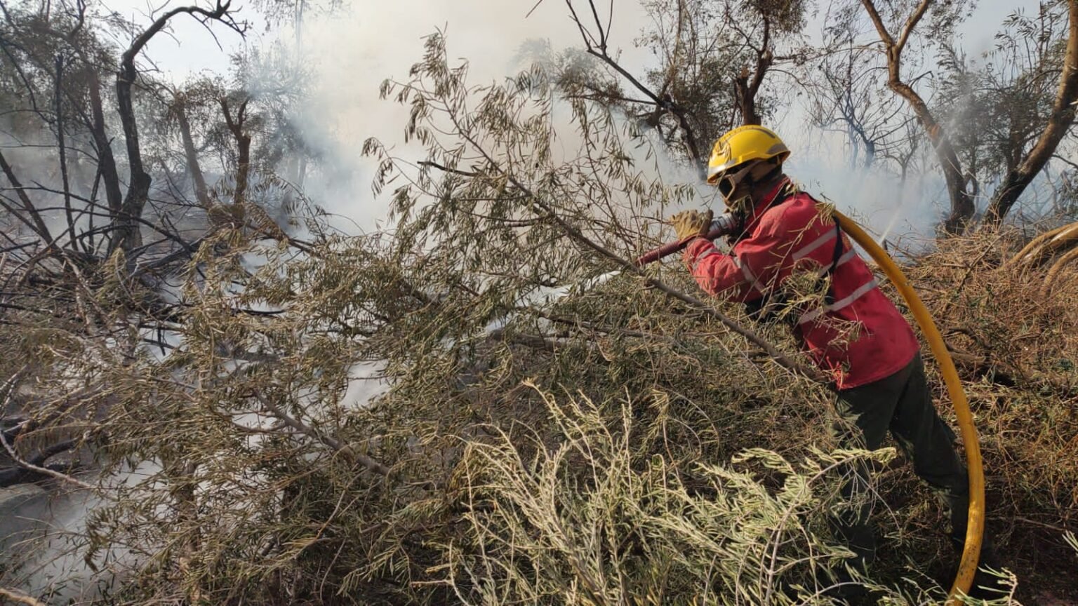 WhatsApp Image 2023 08 22 at 6.13.33 PM