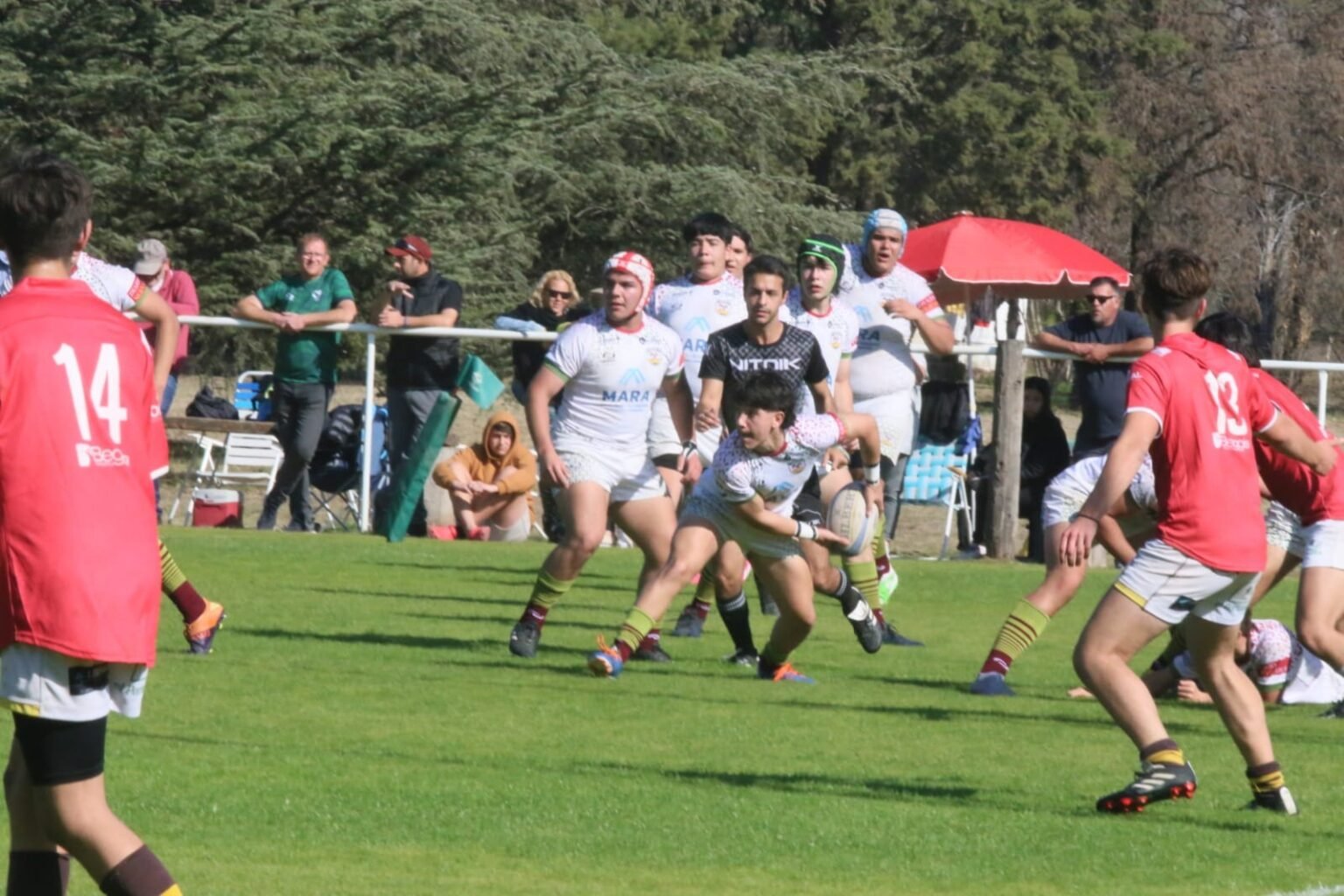 WhatsApp Image 2023 08 23 at 9.15.47 AM