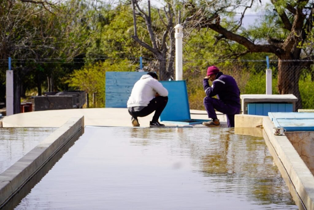 WhatsApp Image 2023 08 24 at 5.36.20 PM 1