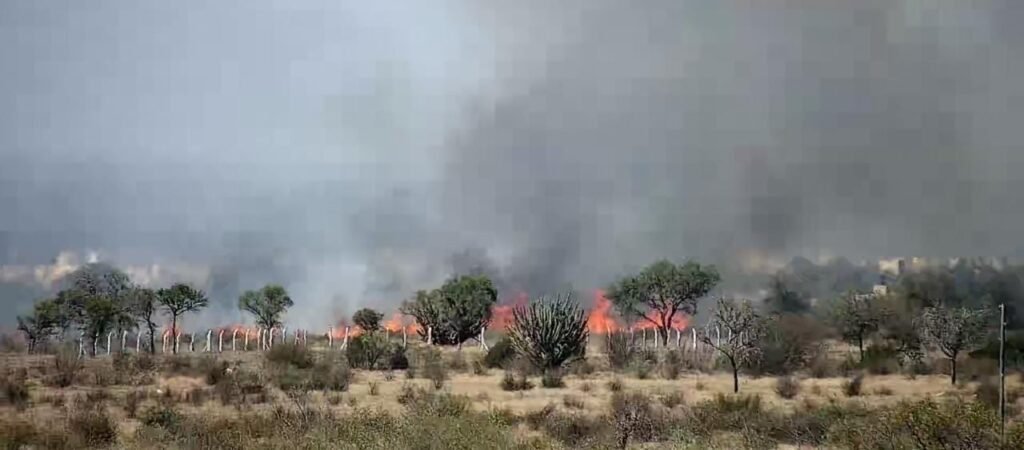 WhatsApp Image 2023 08 30 at 1.21.39 PM