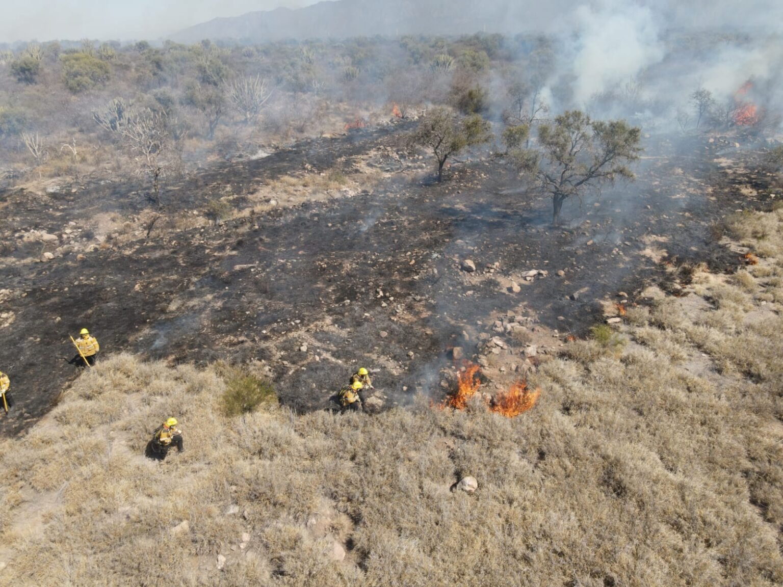 El incendio en cercanías al Parque de la Ciudad consumió más de 40 hectáreas WhatsApp Image 2023 08 30 at 2.27.38 PM