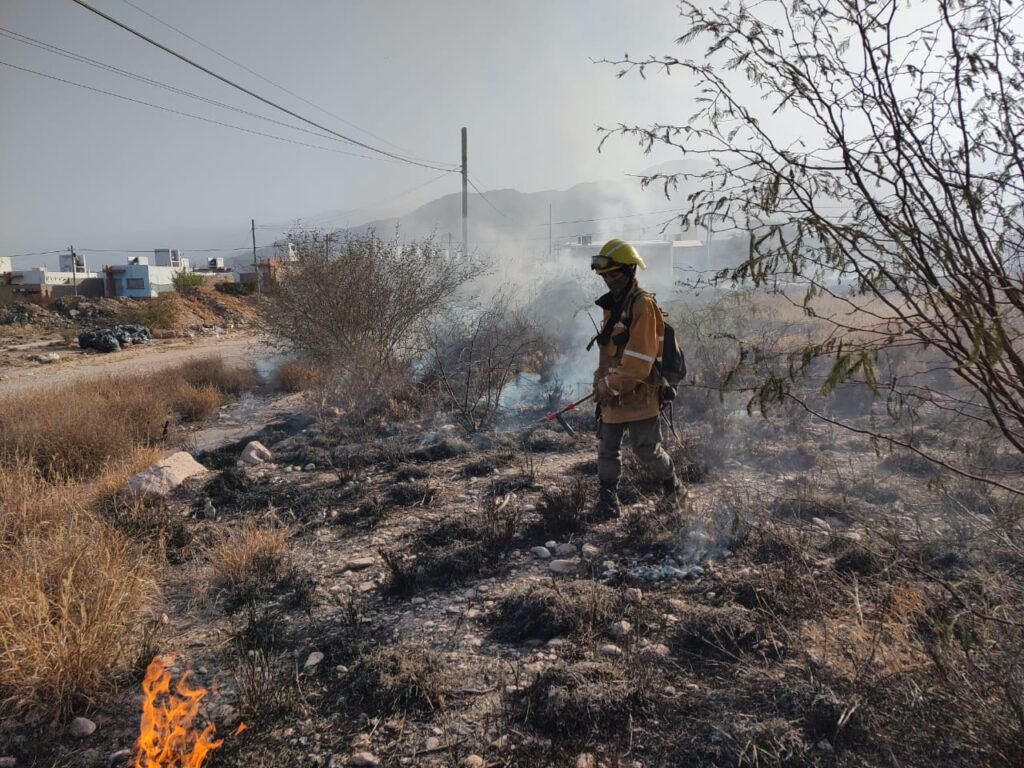 Tres incendios forestales fueron controlados en la siesta de este jueves WhatsApp Image 2023 08 31 at 5.52.02 PM