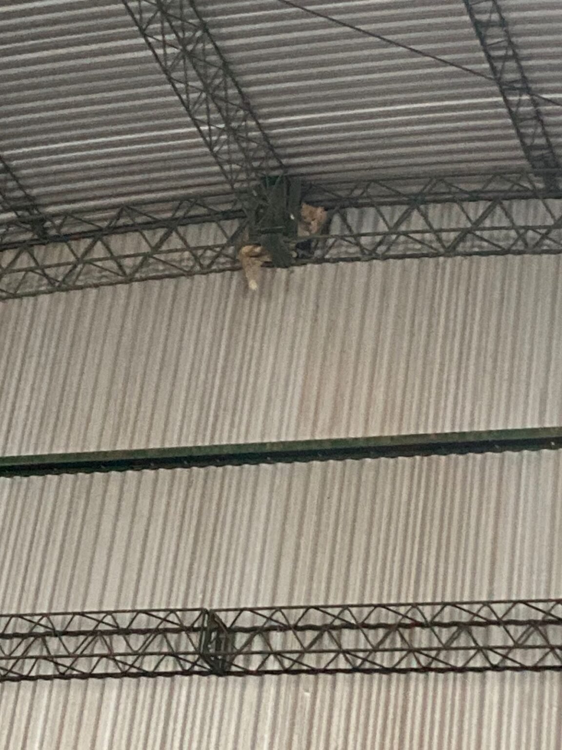 WhatsApp Image 2023 09 03 at 9.22.02 PM