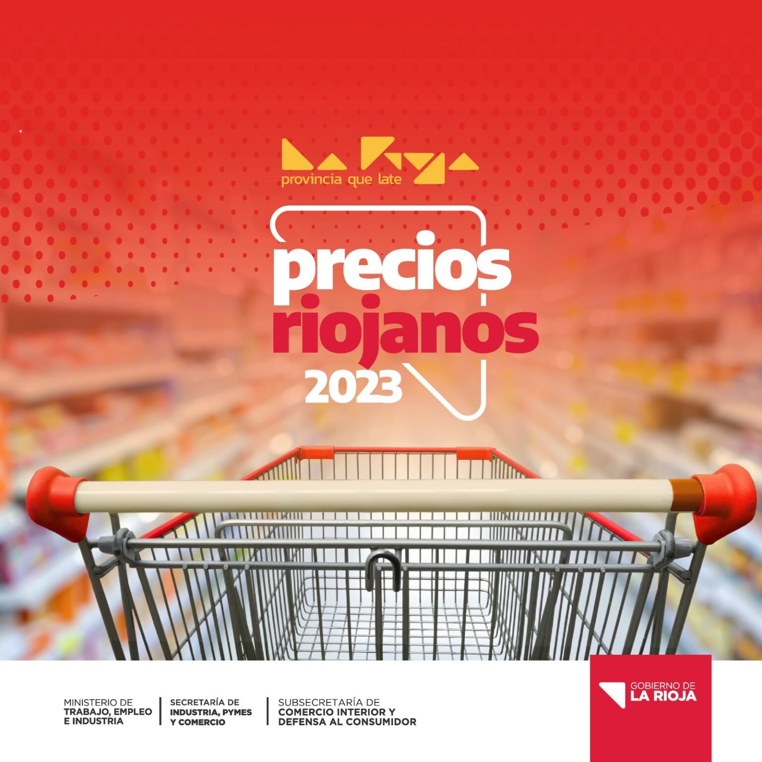 WhatsApp Image 2023 09 12 at 1.17.15 PM